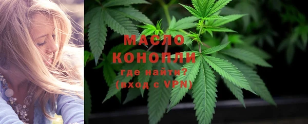 мдпв Протвино