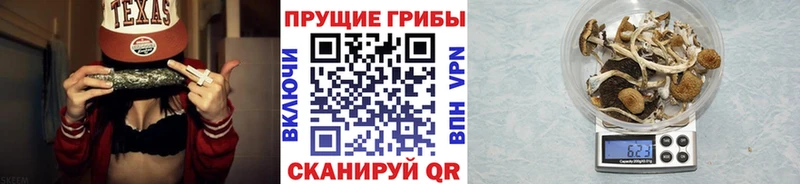 Псилоцибиновые грибы Psilocybine cubensis Усолье